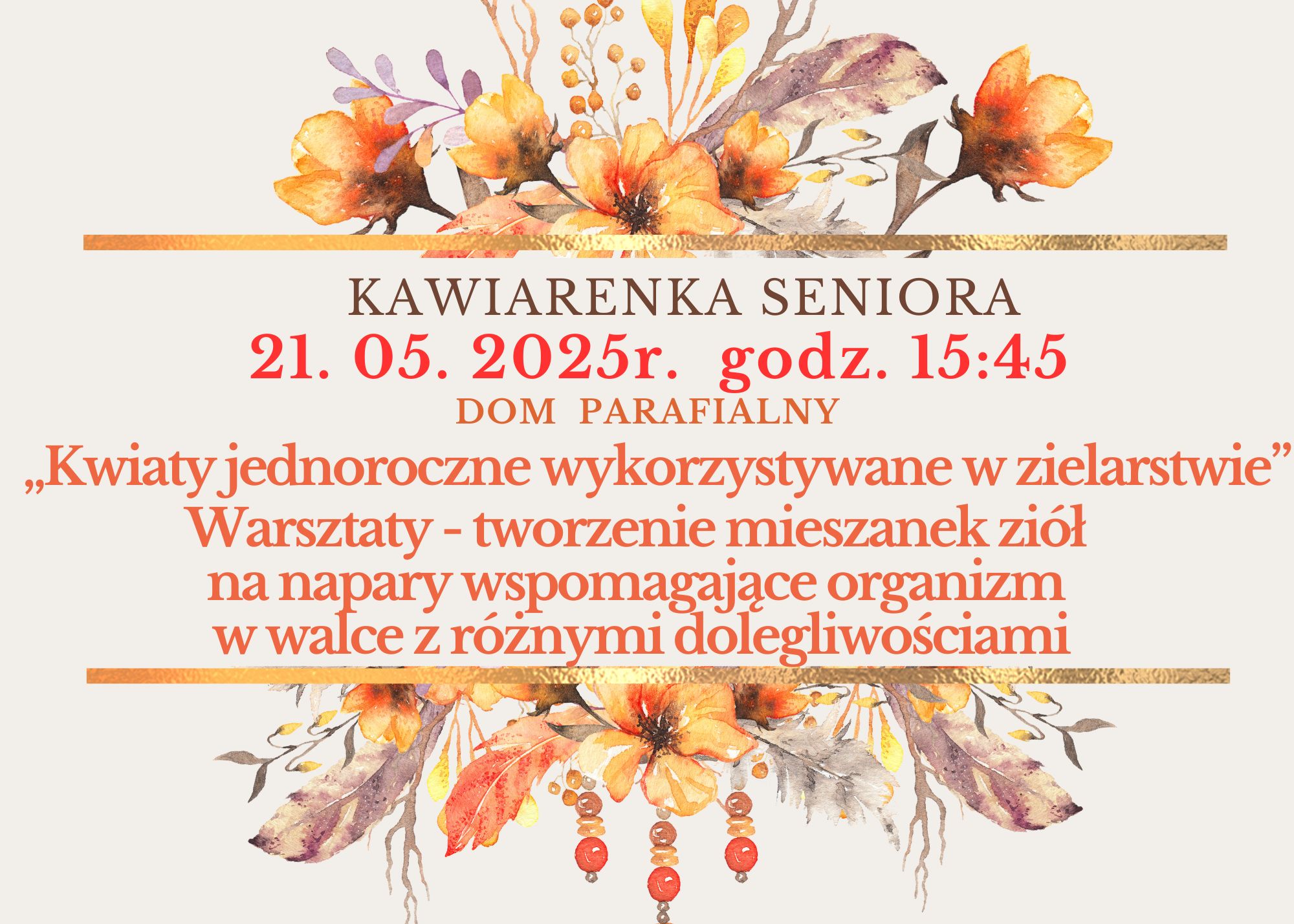 MIkoow 1