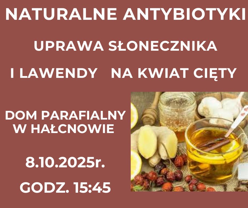 antybiotyki